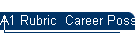 A1 Rubric  Career Possibilities