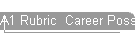A1 Rubric  Career Possibilities