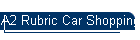 A2 Rubric Car Shopping