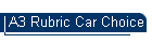 A3 Rubric Car Choice