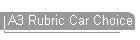 A3 Rubric Car Choice