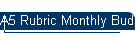 A5 Rubric Monthly Budget